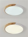 Накладной светильник Natali Kovaltseva Scandinavian LED LAMPS 81182 - фото 4969703