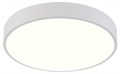 Накладной светильник Natali Kovaltseva  LED LAMPS 81111/5C - фото 4969886