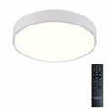 Накладной светильник Natali Kovaltseva  LED LAMPS 81111/5C - фото 4969887