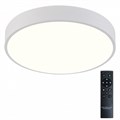 Накладной светильник Natali Kovaltseva  LED LAMPS 81112/5C - фото 4969897