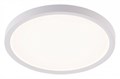 Накладной светильник Natali Kovaltseva PLAIN LED LAMPS 81113/2C - фото 4970247
