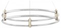 Подвесной светильник Zortes Ringer ZRS.57792.116 - фото 4971037
