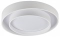 Накладной светильник MyFar Rhea MR9160-CL - фото 4977996