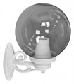 Светильник на штанге Fumagalli Globe 250 G25.131.000.WZF1R - фото 4985582