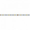Лента светодиодная Arlight RT 2-5000 12V Cool 8K 16890 - фото 4988788