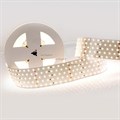 Лента светодиодная Arlight RT 2-2500 24V White6000 5x2 (2835, 875 LED, LUX) 019082(B) - фото 4989906