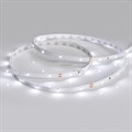 Лента светодиодная Arlight RT 2-5000 24V White6000 0.5x (3528, 150 LED, LUX) 019917(B) - фото 4989909