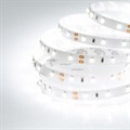 Лента светодиодная Arlight RT 2-5000 12V Day5000 (3528, 300 LED, CRI98) 021418(1) - фото 4989957