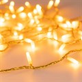 Гирлянда Нить Arlight Ard String Classic 31200 - фото 4990841