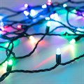 Гирлянда Нить Arlight Ard String Pro 31519 - фото 4990900