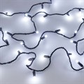 Гирлянда Нить Arlight Ard String Classic 31652 - фото 4990935