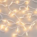 Гирлянда Нить Arlight Ard String Classic 31646 - фото 4991145