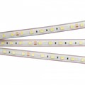 Лента светодиодная Arlight RTW герметичная 021464(2) - фото 4991479