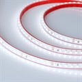 Лента светодиодная Arlight RTW герметичная 024574(2) - фото 4991837