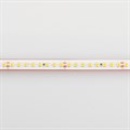 Лента светодиодная Arlight RTW герметичная 024545(2) - фото 4991880