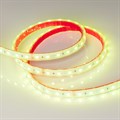 Лента светодиодная Arlight RTW герметичная 021400(2) - фото 4991937