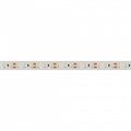 Лента светодиодная Arlight RTW герметичная 022318(2) - фото 4992108
