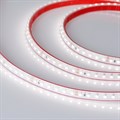 Лента светодиодная Arlight RTW герметичная 024576(2) - фото 4993455