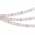 Лента светодиодная Arlight RTW герметичная 033790 - фото 4993833