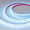 Лента светодиодная Arlight RTW герметичная 033790 - фото 4993836
