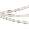 Лента светодиодная Arlight RTW герметичная 036443 - фото 4994862
