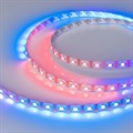 Лента светодиодная Arlight SPI-10-5060-60 33437 - фото 4996731