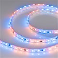 Лента светодиодная Arlight SPI 026365(3) - фото 4997044