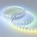 Лента светодиодная Arlight SPI 030195(2) - фото 4997055