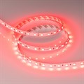 Лента светодиодная Arlight RT 008817(2) - фото 4997885