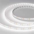 Лента светодиодная Arlight RT 038805 - фото 4998052