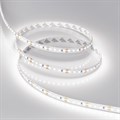 Лента светодиодная Arlight RT 038805 - фото 4998053