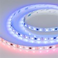 Лента светодиодная Arlight B60 039174 - фото 4998497