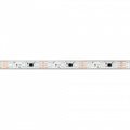 Лента светодиодная Arlight PFS 039177 - фото 4998512