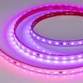 Лента светодиодная Arlight SPI 039181 - фото 4998525