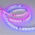 Лента светодиодная Arlight SE 039601 - фото 4998551