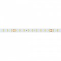 Лента светодиодная Arlight RT 38777 - фото 4998692