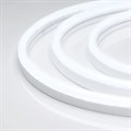 Лента светодиодная Arlight NEON 030856(1) - фото 4999157