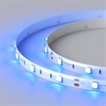Лента светодиодная Arlight B30 12V 7.2 W/m IP65 015135(2) - фото 5001217