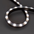 Лента светодиодная Arlight THOR 045265 - фото 5003301