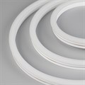 Шнур световой Arlight WAVE-SIDE-A120-12x25mm 047810 - фото 5006292