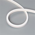 Шнур световой Arlight MOONLIGHT-TOP-X320-13x12mm 051133 - фото 5006328