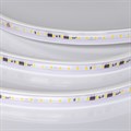 Лента светодиодная Arlight ARL-PV-A120-15mm 054696 - фото 5006379