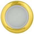 Встраиваемый светильник Fametto DLS-A201 UL-00006042 - фото 5013406