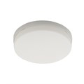 Потолочный светильник LEDtrec LT315-300 - фото 5014024