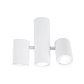 Потолочный светильник LED4U L2234-180 WH - фото 5014233